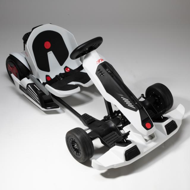 Go-Kart Elettrico Regolabili per Bambini e Adulti BiMotore 700W